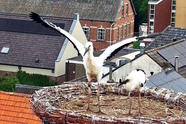Op cultour in Gennep